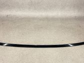 Roof trim bar molding cover
