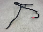 Engine installation wiring loom