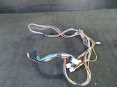 Other wiring loom