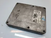 Calculateur moteur ECU