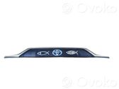 Trunk door license plate light bar