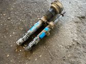 Front shock absorber with coil spring
