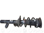 Front shock absorber with coil spring