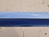 Front door trim (molding)