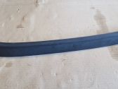 Fender trim (molding)