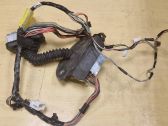 Front door wiring loom