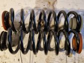 Rear coil spring
