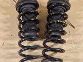 Rear coil spring