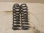 Rear coil spring