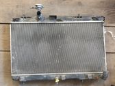 Wasserkühler Kühlerpaket
