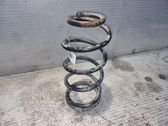 Front coil spring