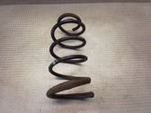 Front coil spring