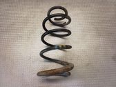 Front coil spring