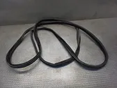 Rear door rubber seal (on body)