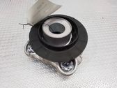 Coil spring mount