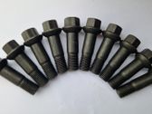 Nuts/bolts