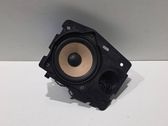 Rear door speaker