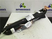 Airbag de la puerta delantera