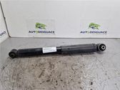 Rear shock absorber/damper