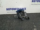 Tie down hook / loop