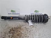 Front shock absorber/damper