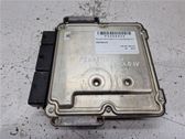 Engine control unit/module ECU