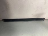 Front sill trim cover
