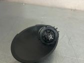 Altavoz de alta frecuencia en la puerta delantera