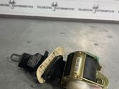 Cinturón trasero