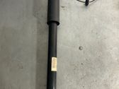 Stoßdämpfer hinten