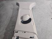(B) pillar trim (top)