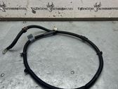 Negative earth cable (battery)