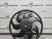 Fan impeller