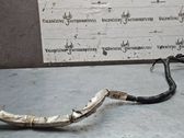Other wiring loom