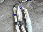 Roof airbag