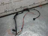Other wiring loom
