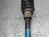 Front shock absorber with coil spring