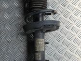 Front shock absorber/damper