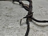 Other wiring loom