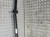 Drive shaft (set)