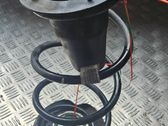 Front coil spring