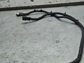 Other wiring loom