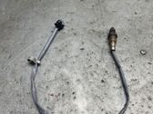 Lambda probe sensor