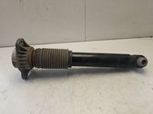 Rear shock absorber/damper