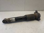 Rear shock absorber/damper