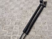 Tailgate/trunk strut/damper