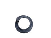 Rear coil spring rubber mount