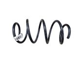 Front coil spring