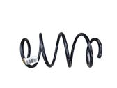 Front coil spring