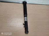 Rear shock absorber/damper